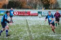 Monaghan Legends V Perennials (21)